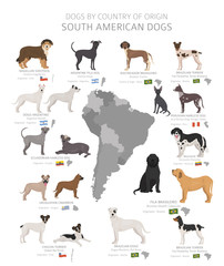 Dogs by country of origin. South American dog breeds. Shepherds, hunting, herding, toy, working and service dogs  set