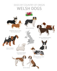 Dogs by country of origin. Welsh dog breeds. Shepherds, hunting, herding, toy, working and service dogs  set