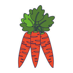 Carrots fresh vegetables cartoon blue lines