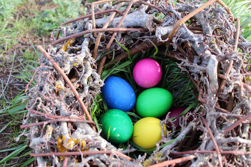 Easter eggs in the nest in the sun