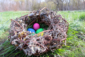 Easter eggs in the nest in the sun