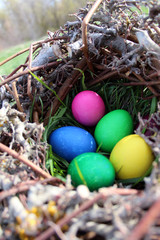 Easter eggs in the nest in the sun