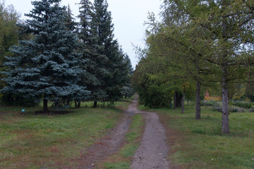 path in the park