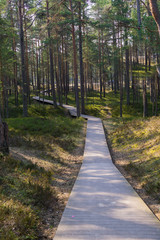 Fototapeta premium Boardwalk through the dunes to the coast of the Gulf of Riga.