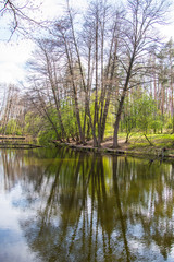Fototapeta na wymiar Beautiful forest reflected in the lake. Spring green trees. Day shadows. Amazing nature.