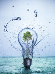 Bulb Led lamp with tree inside with water splashes.