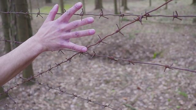 A man's hand touches a barbed wire fence. Concept illegal migration. An Arab who wants to emigrate to Europe. Camp for expats.