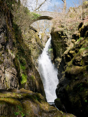 Fototapeta na wymiar Aira Force waterfall in the Lake District, Cumbria in North West England, UK