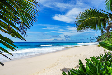 beautiful paradise beach, anse bazarca, seychelles 2