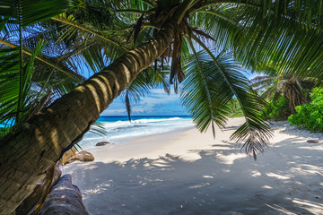 beautiful paradise beach, anse bazarca, seychelles 5