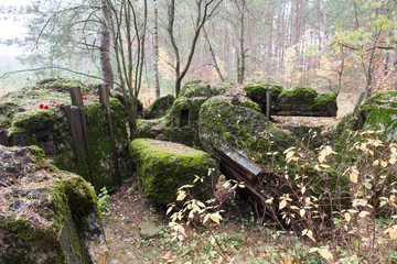 bridge in the forest