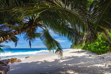 beautiful paradise beach, anse bazarca, seychelles 17