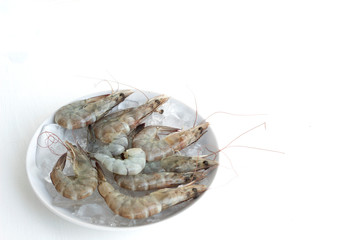 fresh shrimp and ice isolated on white background
