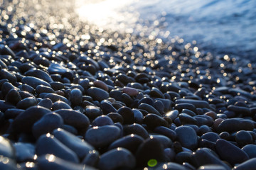 Obraz premium Wet pebbles shine on seashore in the morning at sunset
