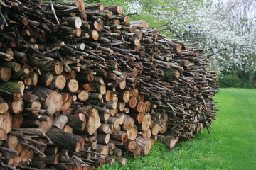 Pile of firewood in the garden in springtime