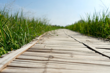 Fototapeta premium Bamboo walkway on green field.