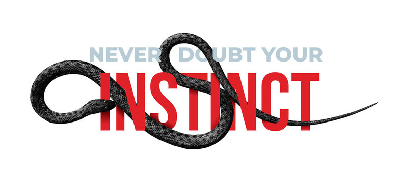Never doubt your Instinct. Slogan with black snake design. Vector Illustration. Isolated on white background.