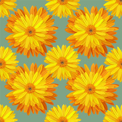 Seamless pattern with yellow flower vector illustration