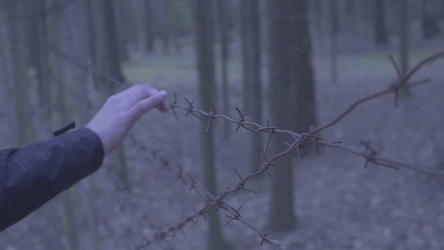 A man's hand touches a barbed wire fence. Concept illegal migration. An Arab who wants to emigrate to Europe. Camp for expats.