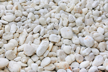 White gravel pebble background in garden.