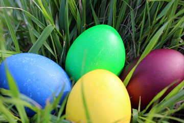 Easter eggs in green grass in the sun