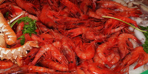 fischmarkt in palma