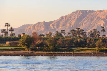 Foto op Plexiglas View of Nile river in Luxor, Egypt © olyasolodenko