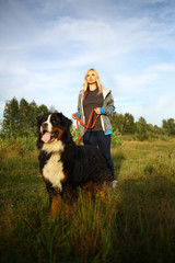 Naklejka na ściany i meble Young woman walking with Bernese Mountain Dog on the summer field