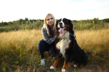 Young woman walking with Bernese Mountain Dog on the summer field
