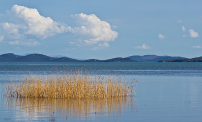 landscape with lake and clouds