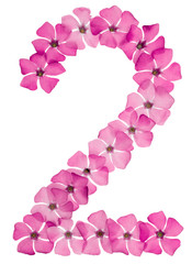 Fototapeta na wymiar Numeral 2, two, from natural pink flowers of periwinkle, isolated on white background