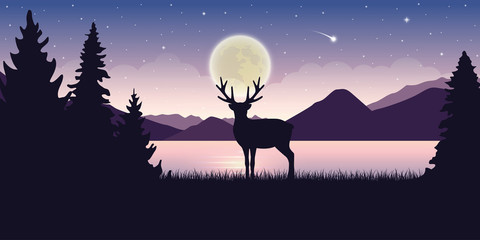 lonely wildlife reindeer in nature beautiful lake at night with full moon and starry sky mystic landscape vector illustration EPS10