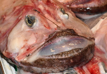 fischmarkt in palma