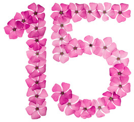 Numeral 15, fifteen, from natural pink flowers of periwinkle, isolated on white background