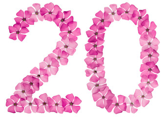 Numeral 20, twenty, two, from natural pink flowers of periwinkle, isolated on white background