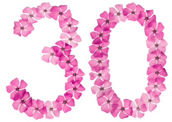 Numeral 30, thirty, from natural pink flowers of periwinkle, isolated on white background