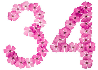 Numeral 34, thirty four, from natural pink flowers of periwinkle, isolated on white background