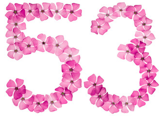 Numeral 53, fifty three, from natural pink flowers of periwinkle, isolated on white background