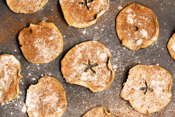 Healthy homemade apple chips sprinkled with powdered sugar and cinnamon on grey background. Good snack during quarantine.