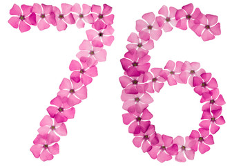 Numeral 76, seventy six, from natural pink flowers of periwinkle, isolated on white background