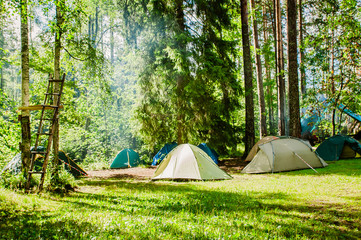 campground on the edge of the forest