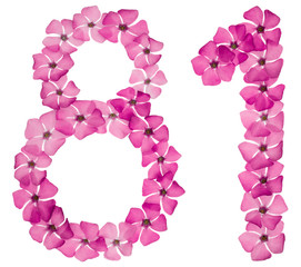 Fototapeta na wymiar Numeral 81, eighty one, from natural pink flowers of periwinkle, isolated on white background