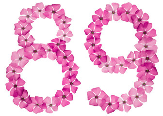 Numeral 89, eighty nine, from natural pink flowers of periwinkle, isolated on white background