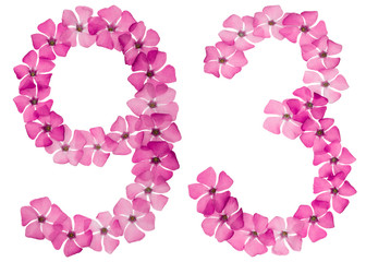 Numeral 93, ninety three, from natural pink flowers of periwinkle, isolated on white background