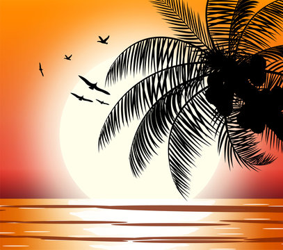 Silhouette of palm tree on beach. Sun with reflection in water and seagulls. Sunset in tropical place. Vector illustration