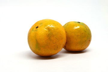 orange organic fruit on white background