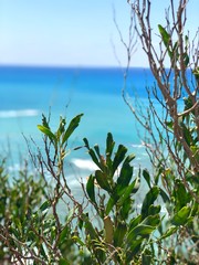 Fototapeta premium Cyprus seaside
