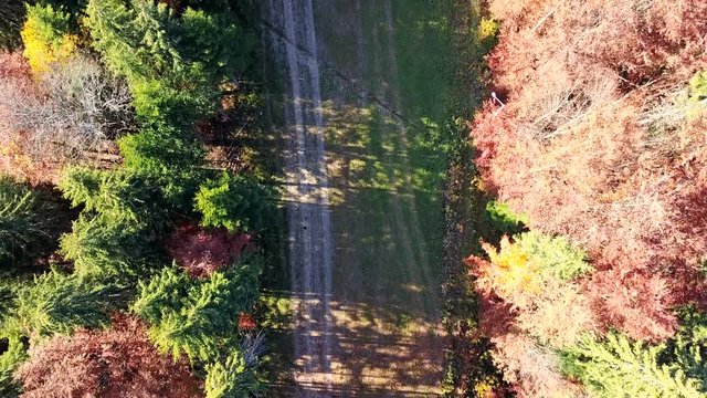 Aerial view of the movement of vehicles on a mountain road. Carpathians. Top view