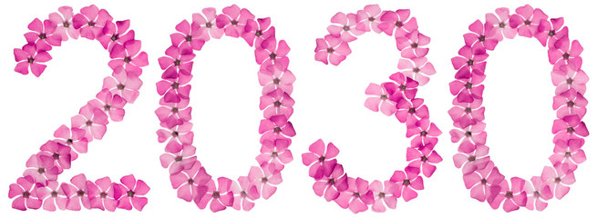 Inscription 2030, from natural pink flowers of periwinkle, isolated on white background