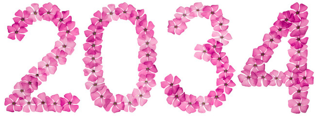 Inscription 2034, from natural pink flowers of periwinkle, isolated on white background